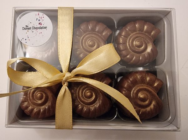 milk chocolate fossils - ammonites - presentation box - Image 3