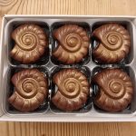milk chocolate fossils - ammonites - presentation box