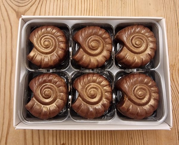 milk chocolate fossils - ammonites - presentation box