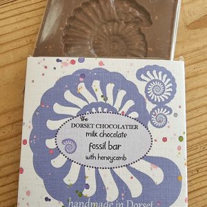 Fine quality milk chocolate bar - fossil - ammonite with honeycomb
