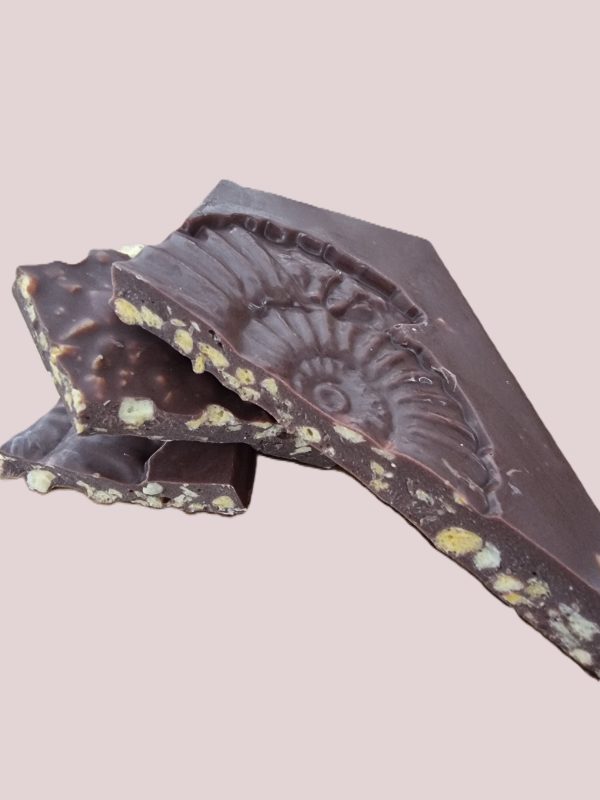Fine quality milk chocolate bar - fossil - ammonite with honeycomb - Image 4