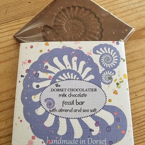 Fine quality milk chocolate bar with almond and sea salt - fossil - ammonite